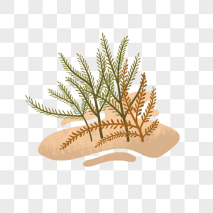 沙漠植物小草素材高清图片