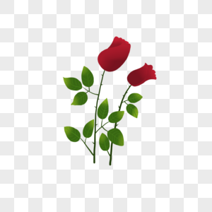 红色浪漫玫瑰花素材图片