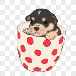 小 狗茶杯犬素材