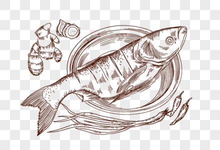 鱼鱼肉姜辣椒葱海鲜食材烹饪手绘线描插画图片素材