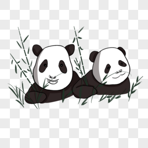 两只正在吃竹子的熊猫图片