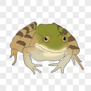 粉蒸牛蛙图片