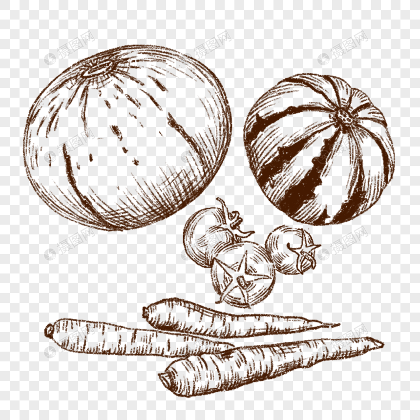 南瓜番茄胡萝卜蔬菜线描新鲜美味手绘插画