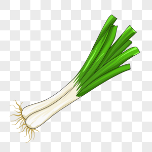 大葱贩子图片