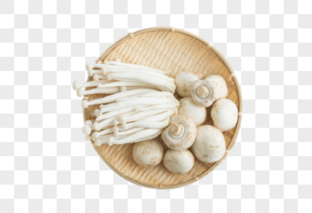 金针菇白菇蘑菇白鲍菇高清图片