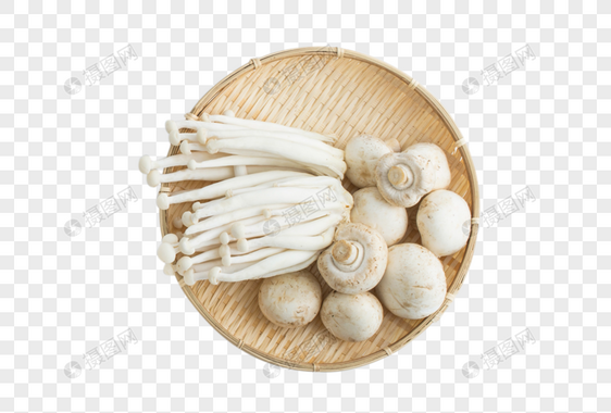 金针菇白菇图片