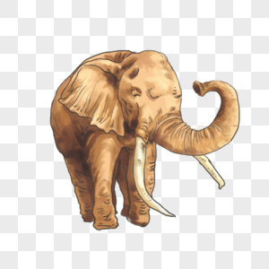 手绘大象大象漫画高清图片