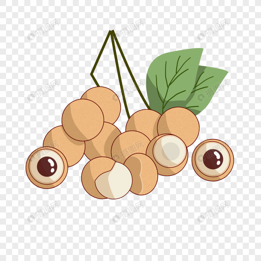 秋天秋季立秋的桂圆龙眼