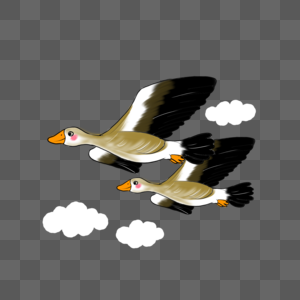 夕阳与大雁图片