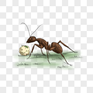 中国风国画蚂蚁图片