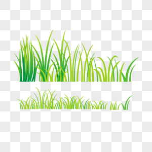 小草绿植草原苜蓿苗高清图片