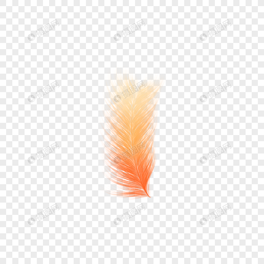 杂乱的橙色羽毛图片