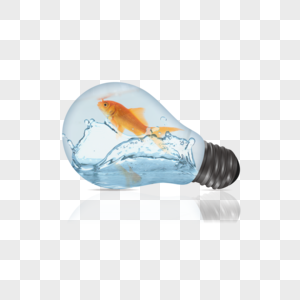 灯泡水中的金鱼图片