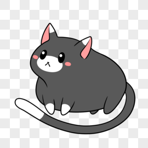 短腿站立的黑白猫高清图片