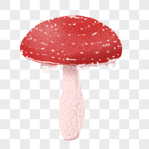 鲜艳的红蘑菇图片
