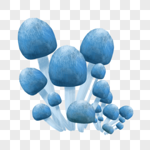 蓝色的小头菇图片