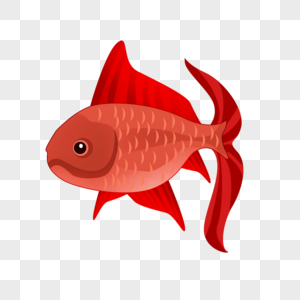 红色鱼类图片