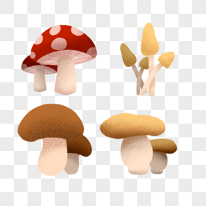 各种蘑菇手绘金针菇高清图片