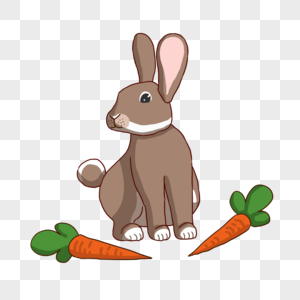秋天的野兔和胡萝卜图片