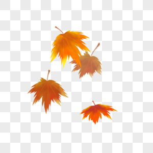 落下的枫叶秋天树叶落下高清图片