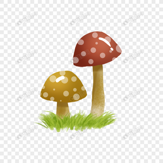 两个蘑菇图片