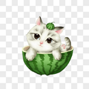 坐在西瓜中的小猫图片