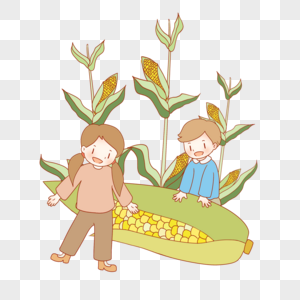 秋天收获玉米图片素材