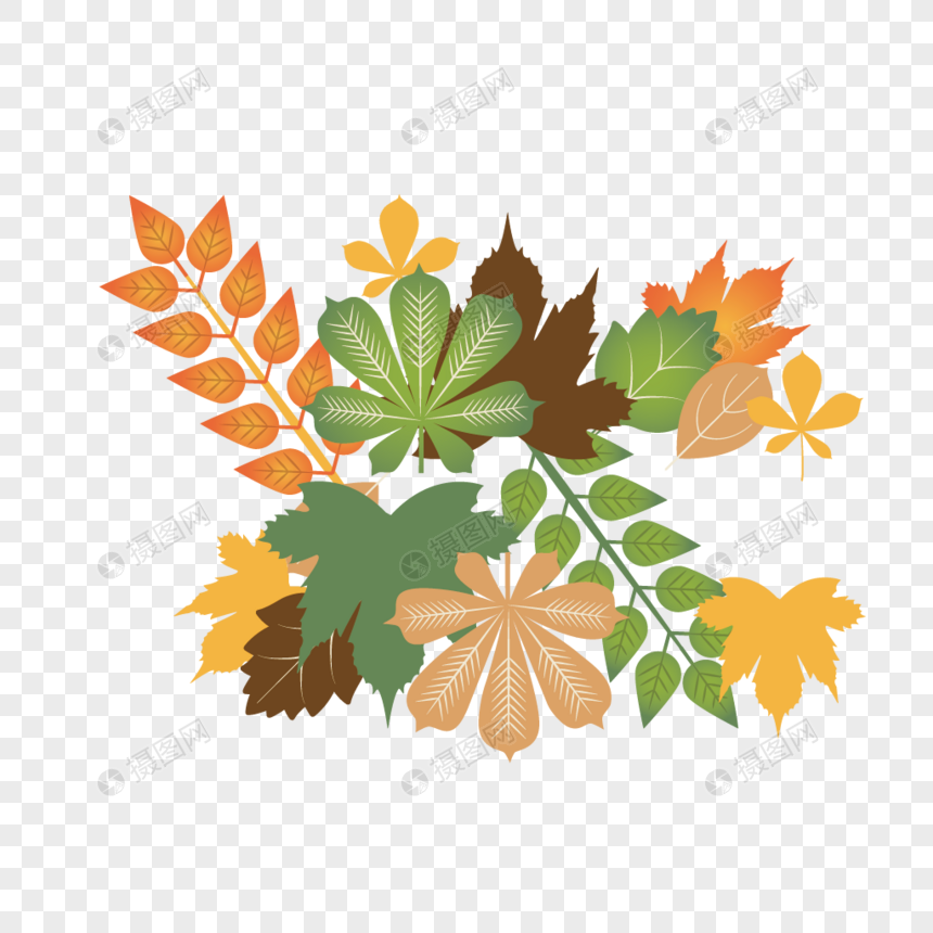 秋天落叶树叶组合图片