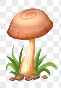 褐色蘑菇图片