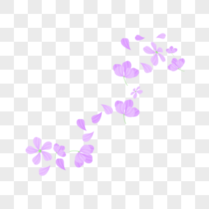 紫色花瓣散落图片