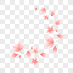 粉色花朵飘洒高清图片