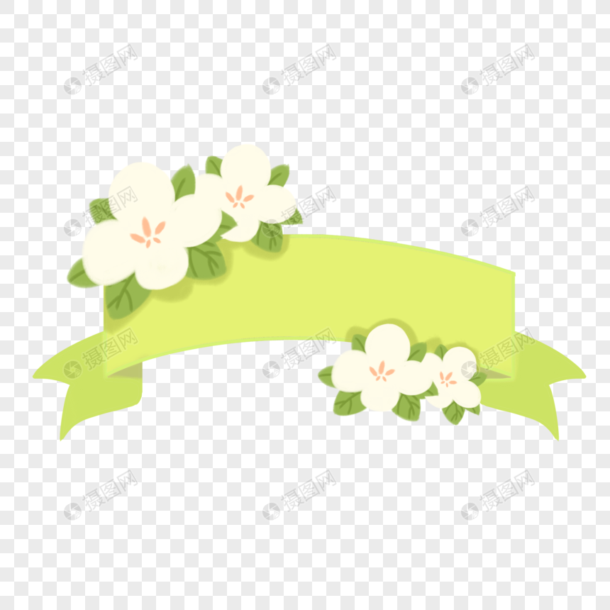 绿色丝带白色鲜花边框图片