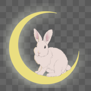 月亮和兔图片