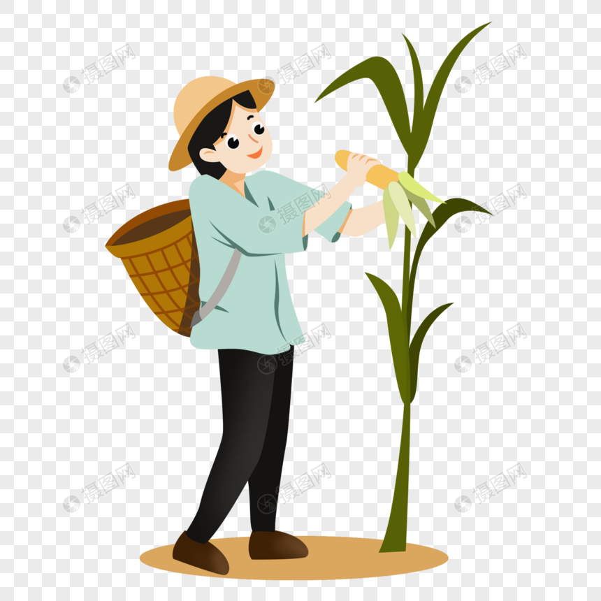 卡通秋季女人收获玉米