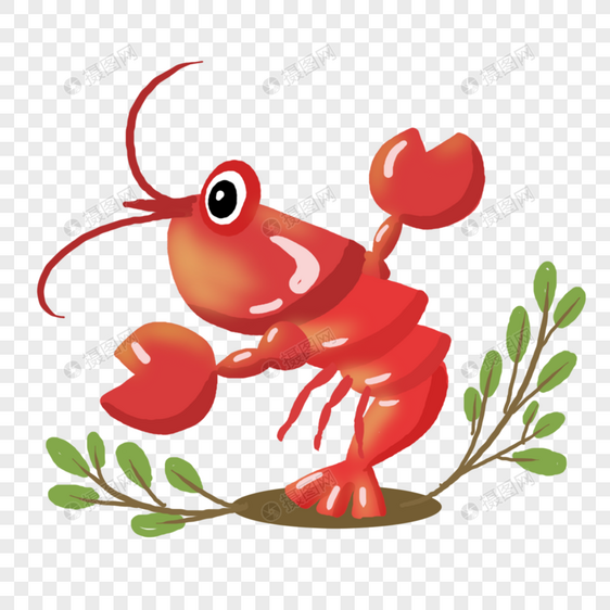 新鲜海鲜小龙虾图片