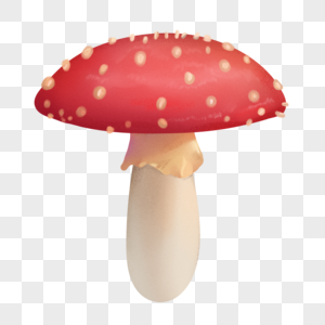 手绘写实红蘑菇图片