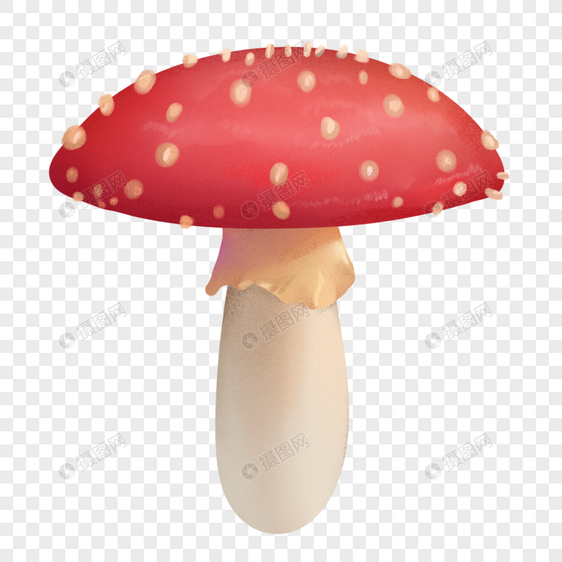 手绘写实红蘑菇图片