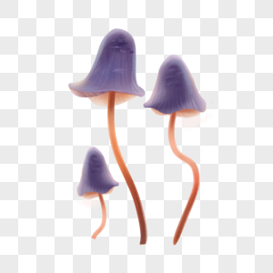 手绘写实紫蘑菇高清图片