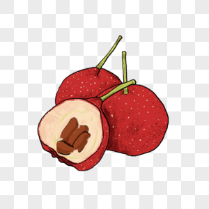 山楂矢量图图片