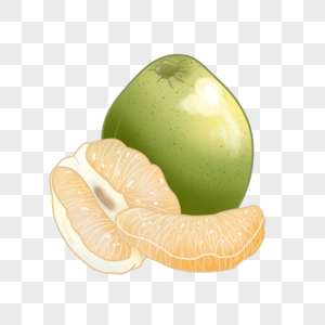 文旦柚图片_文旦柚素材_文旦柚高清图片_摄图网图片下载