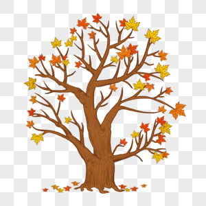 秋天落叶的树图片