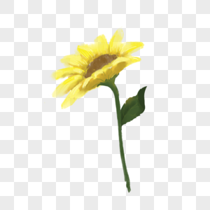 手绘小清新花卉植物黄色向日葵图片