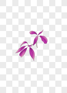 手绘小清新水彩植物叶子紫色图片