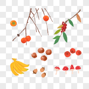 秋天的果实图片