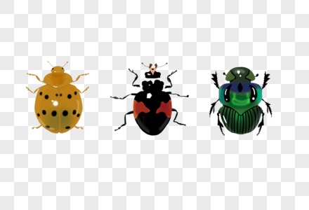 手绘昆虫虫，虫子，小虫，高清图片