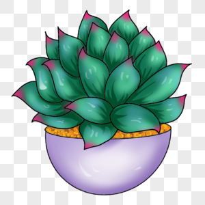 卡通一盆多肉植物图片素材