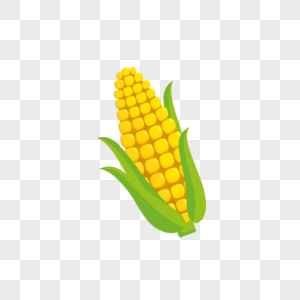 玉米掰开的玉米高清图片