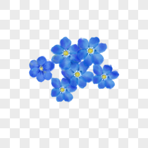 手绘小清新水彩花卉蓝色图片