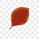秋天红色树叶装饰素材图片