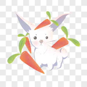 喜爱红萝卜的兔子图片